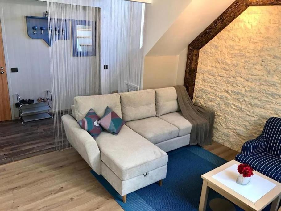 塔林Charming Loft Near Old Town公寓 外观 照片