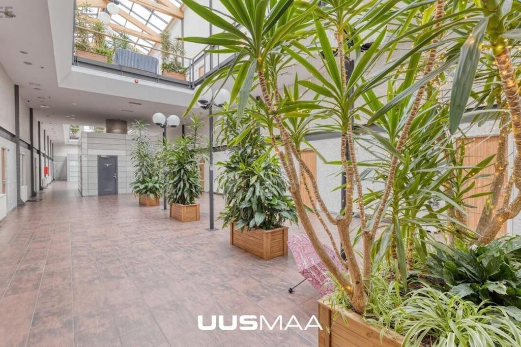 塔林Charming Loft Near Old Town公寓 外观 照片